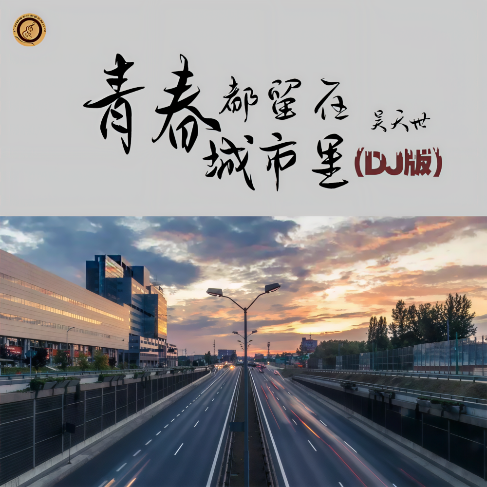 青春都留在城市里 (DJ版伴奏)