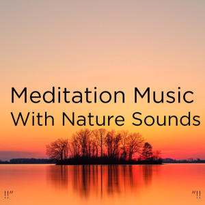 收听Nature Sounds的Calm歌词歌曲