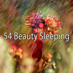 收聽Relaxing With Sounds of Nature and Spa Music Natural White Noise Sound Therapy的Sleep Finder.歌詞歌曲