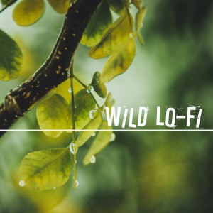 Album Wild Lo-Fi from Roberto Milani