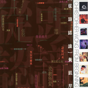 ดาวน์โหลดและฟังเพลง Jin Ye Ke Fu Liu Di พร้อมเนื้อเพลงจาก Christopher Wong
