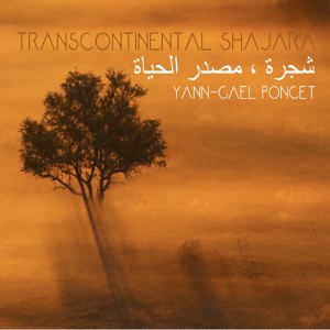 Listen to Habib Errouh song with lyrics from Yann-Gaël Poncet