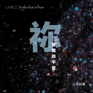 Listen to 你是我的平安 (Live) song with lyrics from 小羊诗歌