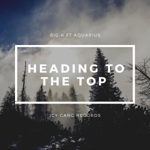 อัลบัม Heading to the Top (Explicit) ศิลปิน Aquarius