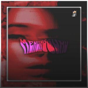 Putri Aurellia的专辑DJ Menunggumu x VinKy