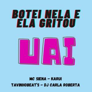 收聽Mc Siena的Botei nela e ela gritou UAI (Explicit)歌詞歌曲