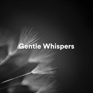 Album Gentle Whispers oleh Deep Meditation Music Zone