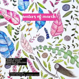 Marcelo Woloski的專輯Waters of March (feat. Rose Stoller, Marcelo Woloski & Tony Davis)