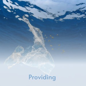 Various Artists的專輯Providing