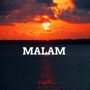 Listen to Malam (Live) song with lyrics from PEAM