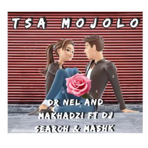 Dr Nel的專輯Tsa Mojolo (feat. Makhadzi, Dj Search & Mashk)