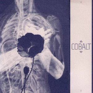 ดาวน์โหลดและฟังเพลง Gun พร้อมเนื้อเพลงจาก Cobalt