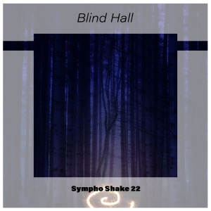 Various的专辑Blind Hall Sympho Shake 22