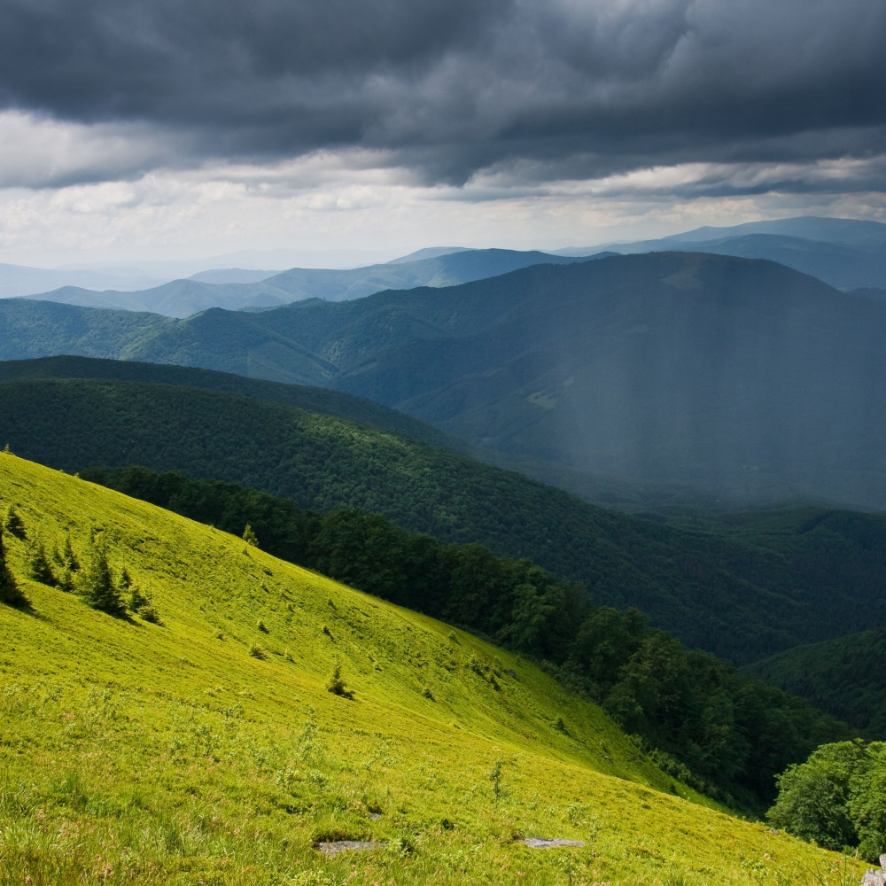 Enchanting Rainfall Hush