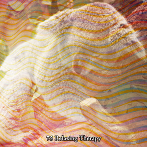 75 Relaxing Therapy