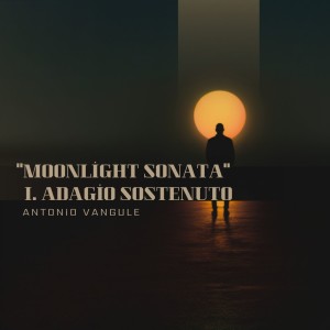 Ludwig van Beethoven的专辑Sonata No. 14 in C-Sharp Minor, Op. 27, No. 2 "Moonlight Sonata": I. Adagio Sostenuto