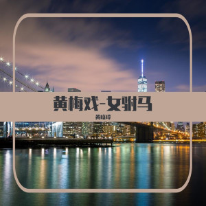 Listen to 黄梅戏-女驸马 (广场舞版) song with lyrics from 黄晓玲