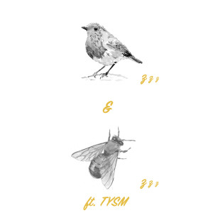 Tysm的专辑Birdz & Beez (Explicit)