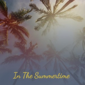 Listen to Long Tom Boogie song with lyrics from Tommy Kizziah & His West Coast Ramblers