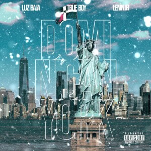 收聽LUZ BAJA的Dominicanyork (Explicit)歌詞歌曲