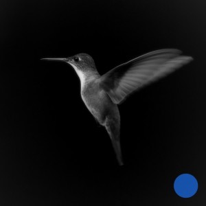Album Do You Feel The Same? (OCULA Remix) from Emmit Fenn