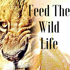 ดาวน์โหลดและฟังเพลง Ufc พร้อมเนื้อเพลงจาก The Animal Kyrawn