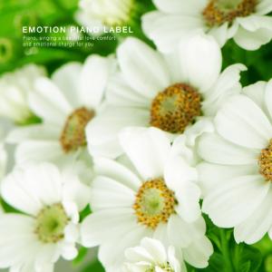 Listen to Rainy Weekend song with lyrics from Mono House