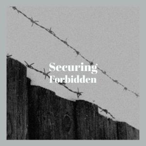 Listen to Securing Forbidden song with lyrics from Rocard