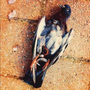 收聽Penga' Per的Ronny & Ragge歌詞歌曲