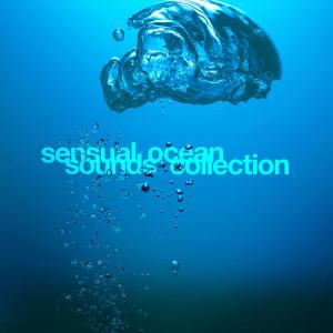 收聽Outside Broadcast Recordings的Tidal Reflections歌詞歌曲