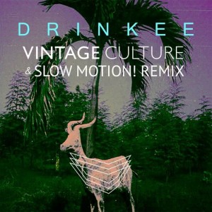 收聽Sofi Tukker的Drinkee (Vintage Culture & Slow Motion! Remix)歌詞歌曲