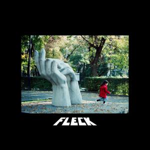FLeCK的專輯fleck