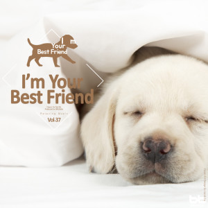 收聽I'm Your Best Friend的Elgar : Salut D`amour歌詞歌曲