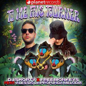 收聽DJ Shorty的Tu Me Fais Tourner歌詞歌曲