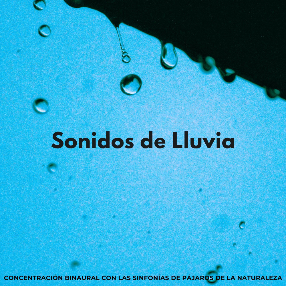 Lluvia Y Pájaros