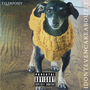 Tyler Posey的專輯I Don't Even Care About It (Explicit)