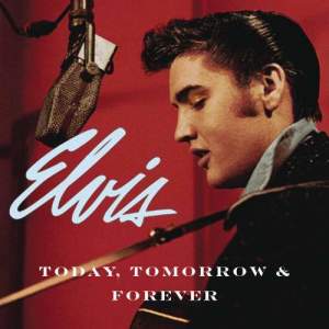 收聽Elvis Presley的A Boy Like Me, A Girl Like You (alt. take 4)歌詞歌曲