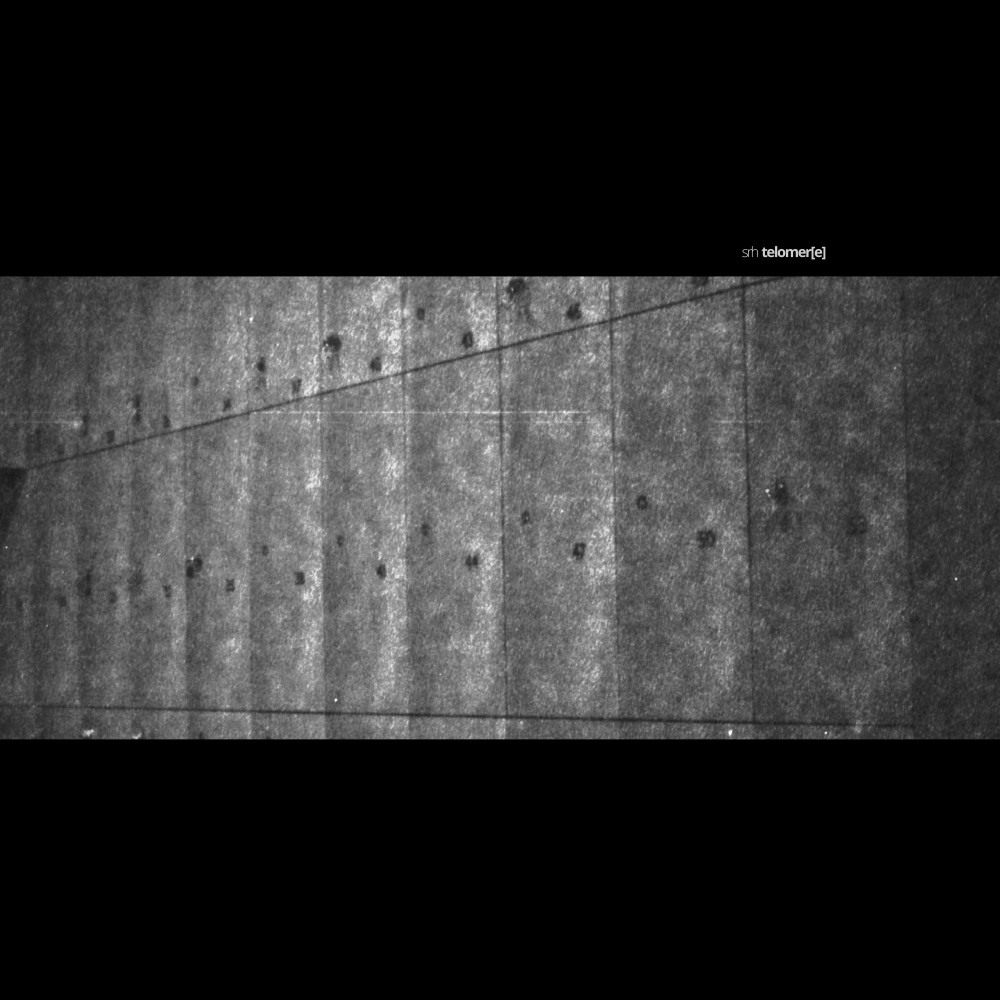 CGAT (Digital Bonus)