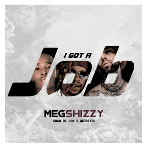 Album I Got a Job (Explicit) from Megshizzy