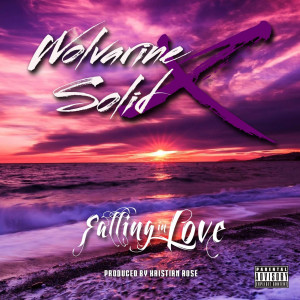 收聽Wolvarine Solid X的Falling in Love (Explicit)歌詞歌曲
