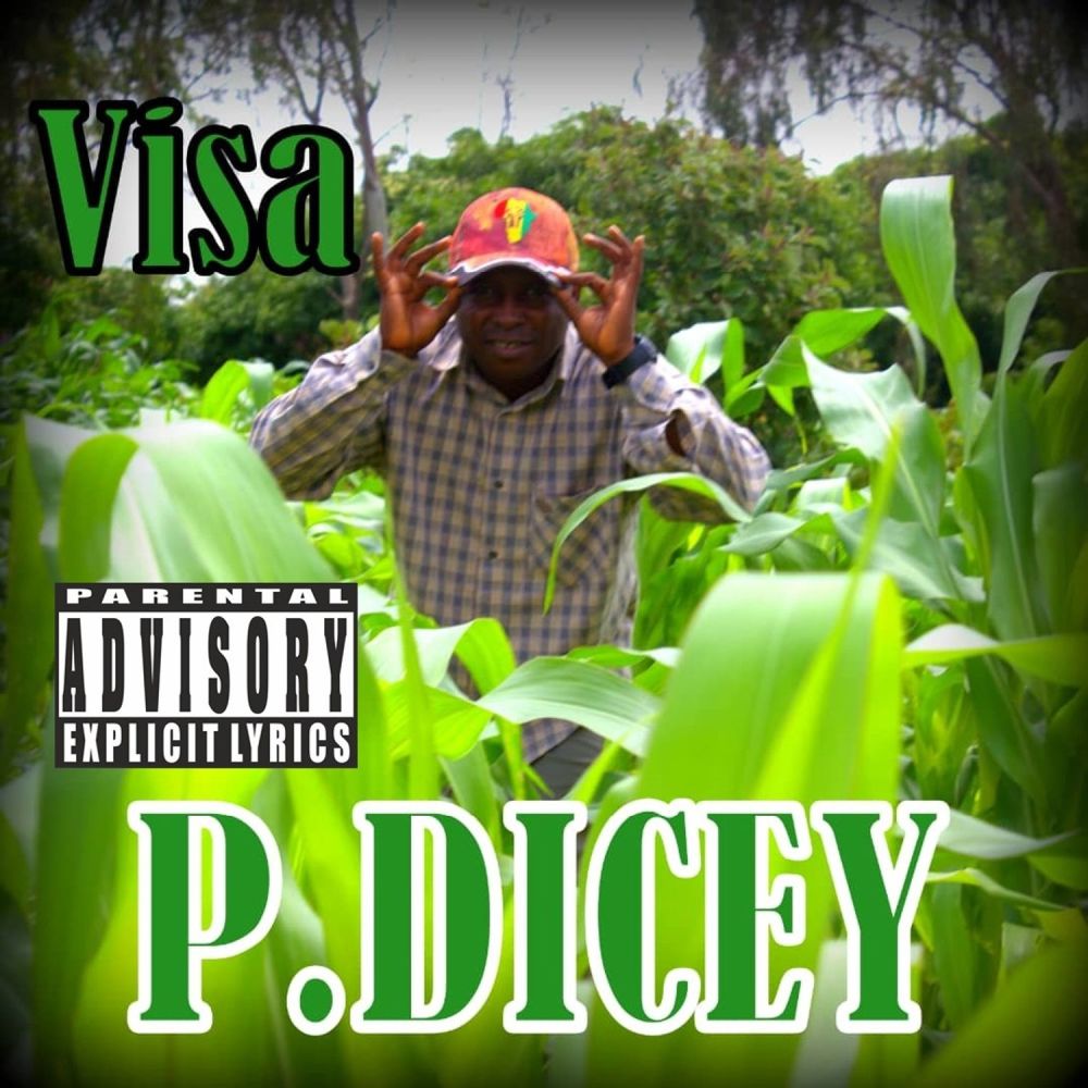 Visa (Explicit)