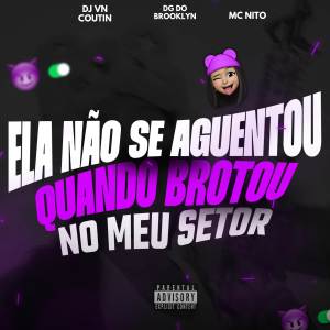 收聽DJ VN Coutin的ELA NÃO SE AGUENTOU QUANDO BROTOU NO MEU SETOR (Explicit)歌詞歌曲