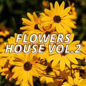 Listen to In Reastrition (Chillhouse Midnight Mix) song with lyrics from Silvernight Ensemble