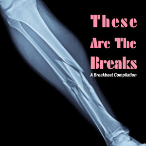 Various Artists的專輯These Are The Breaks