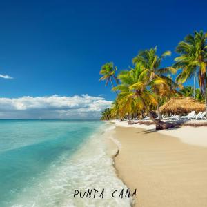 收聽Jonhy MFK的Punta Cana (feat. MRSTYLE|Explicit)歌詞歌曲
