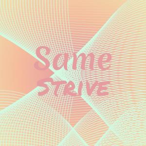 Album Same Strive from Various