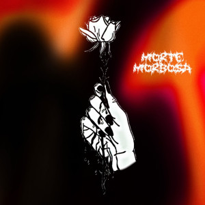ดาวน์โหลดและฟังเพลง F.Y.B. (Explicit) พร้อมเนื้อเพลงจาก Morte Morbosa