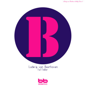 Listen to Beethoven Op.14 No. 2 10번(Allegro) song with lyrics from Lullaby & Prenatal Band