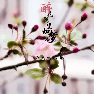 收听刀克特小琳的醉花阴里如梦令歌词歌曲