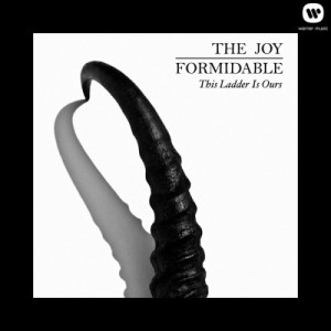 ดาวน์โหลดและฟังเพลง This Ladder Is Ours พร้อมเนื้อเพลงจาก The Joy Formidable